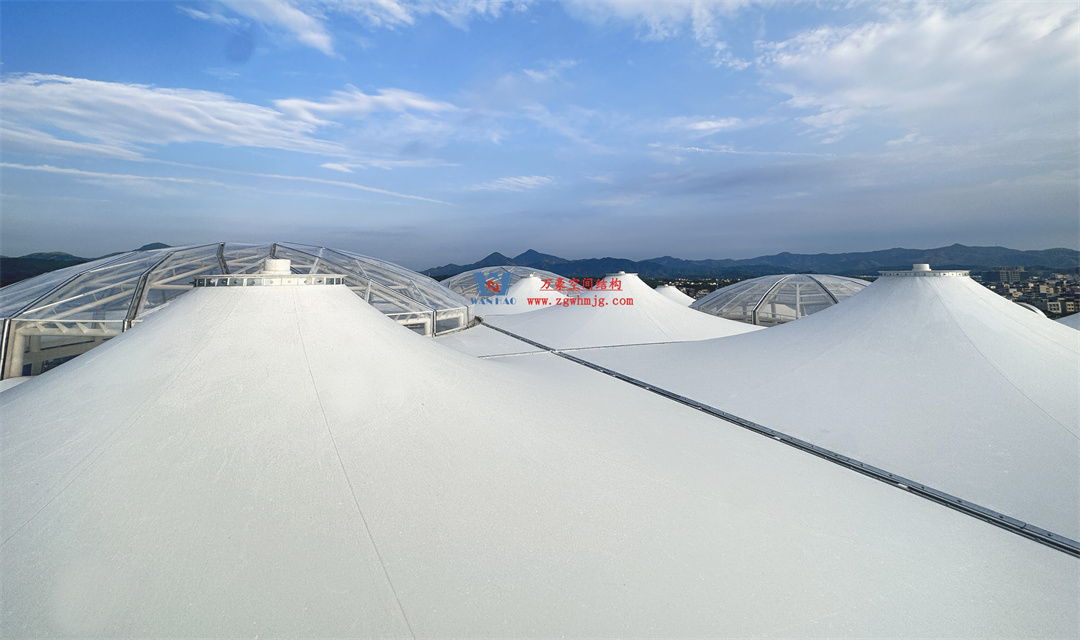 1750131676846236.jpg 2a.jpg